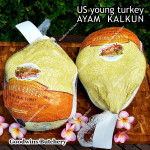 Ayam Kalkun young tender turkey NORBEST USA with pop-up timer HALAL frozen +/- 6 kg/pc (price/kg)